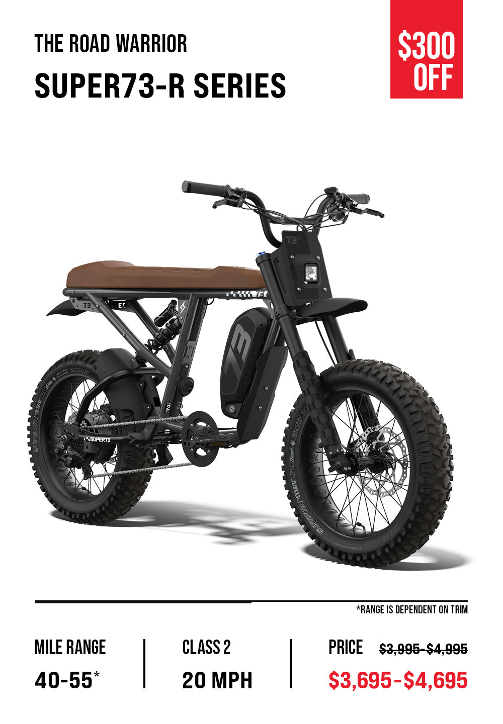 R Series overview graphic which lists details like price range, top speed, and battery range.