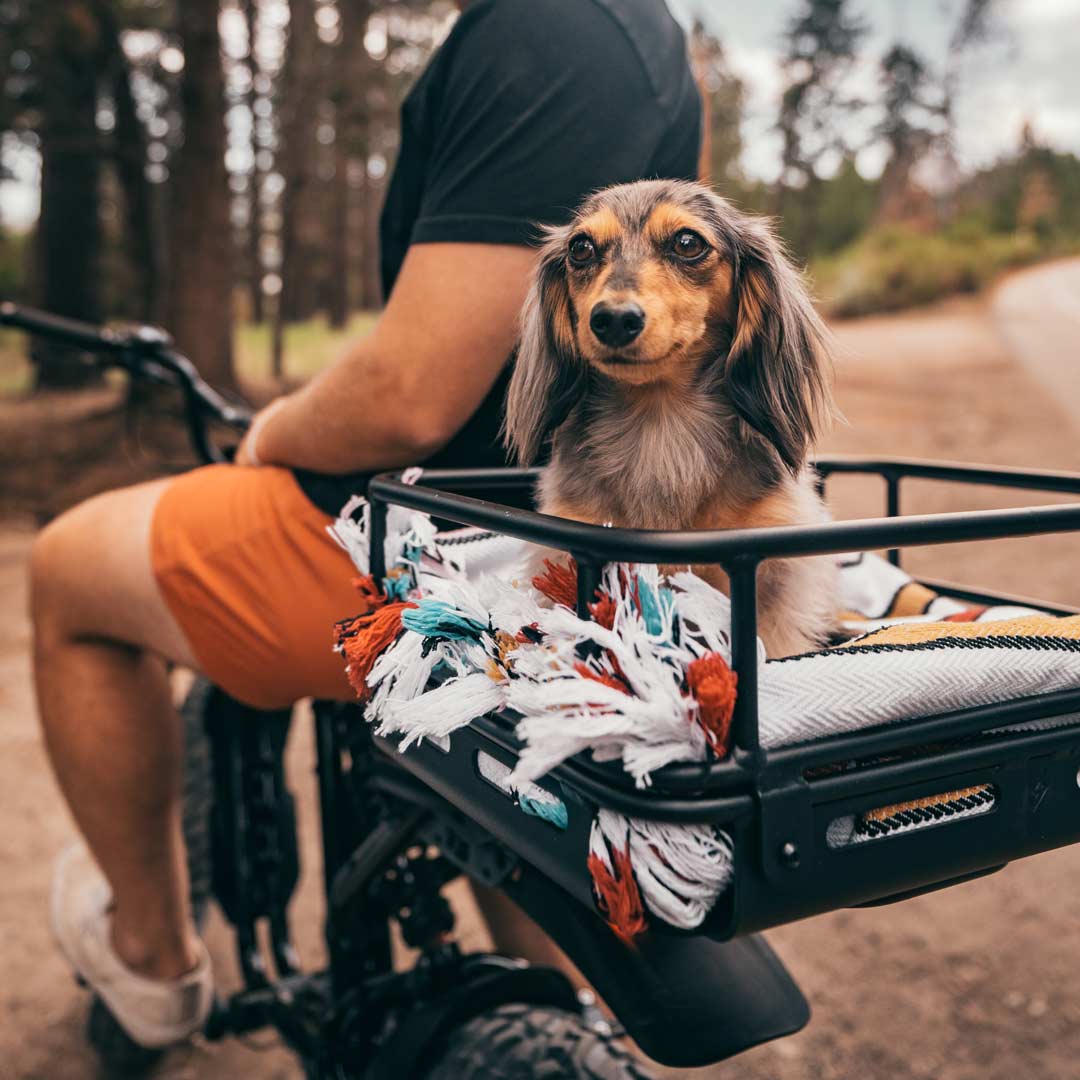 Lifestyle image of a puppy sitting on a blanket inside a SUPER73 cargo crate.