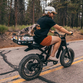 Lifestyle image of a puppy standing on a blanket inside a SUPER73 cargo crate.